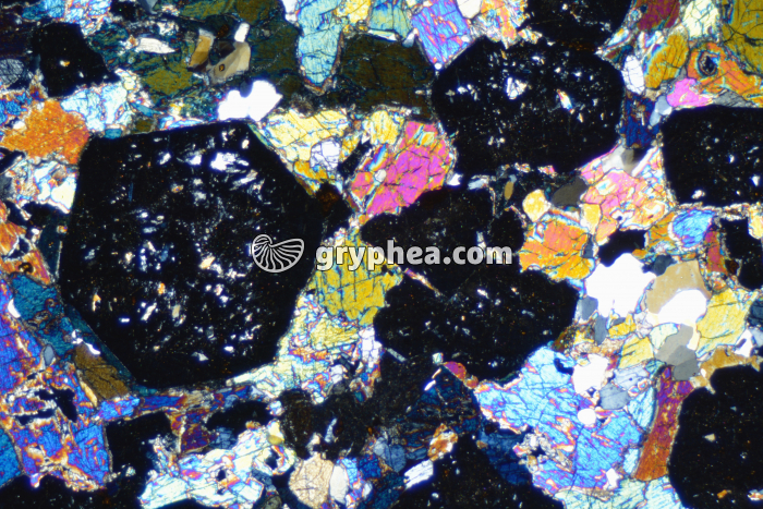 Eclogite LPA x6,3 - gryphea.org